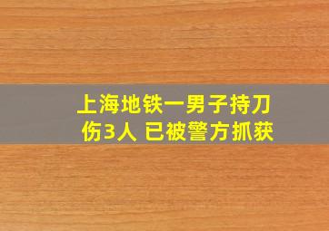 上海地铁一男子持刀伤3人 已被警方抓获